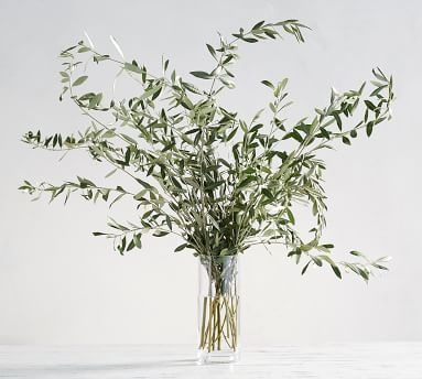 Live Olive Leaves, 3 Bunches - Image 2