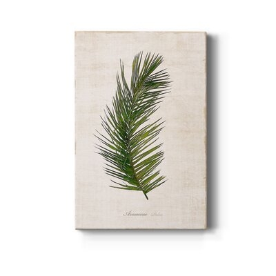 Palm Botanical II Premium Gallery Wrapped Canvas - Ready To Hang - Image 0