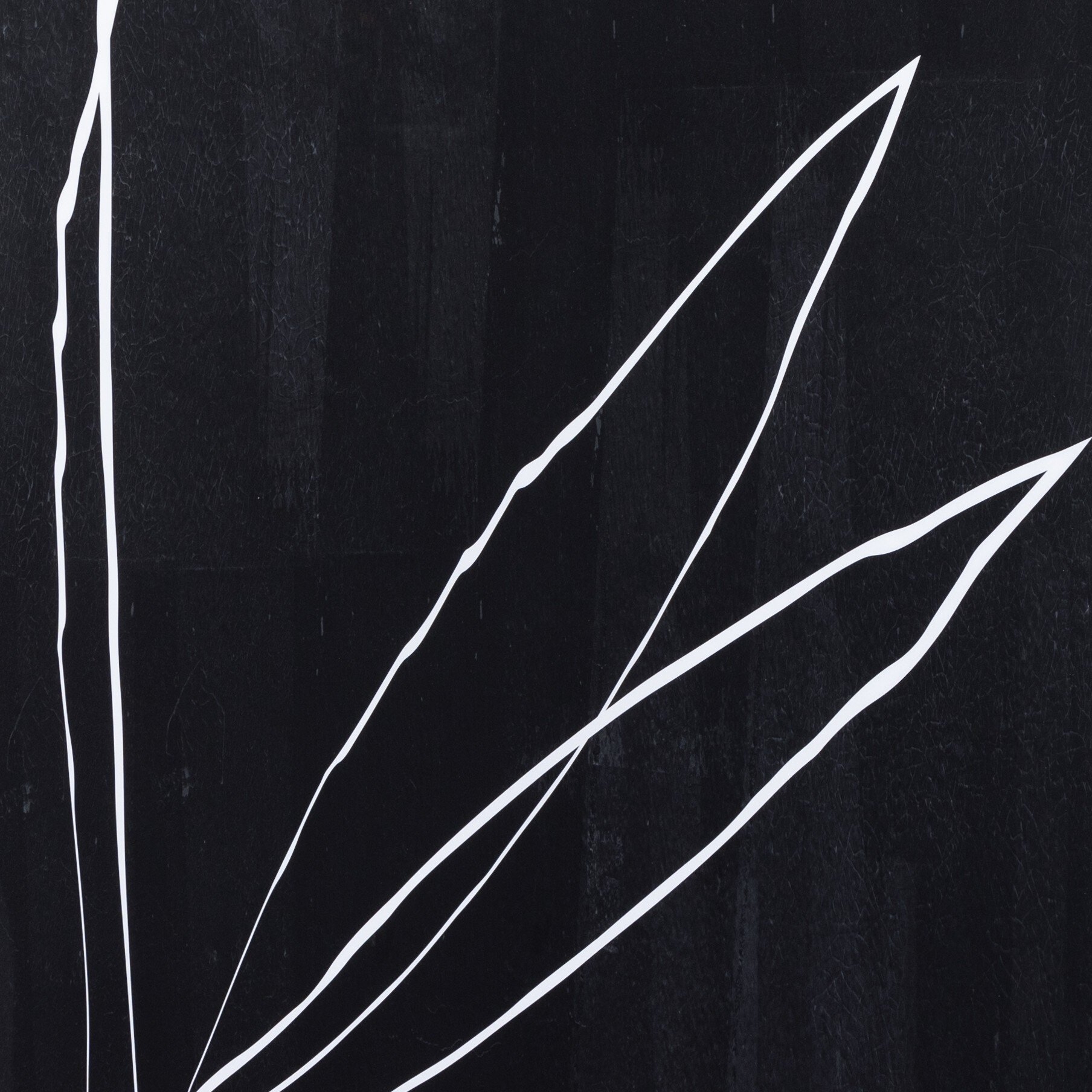 Abstract Botanic Line Drawing by Roseanne Kenny - Rustic 2.5 Walnut - Image 4