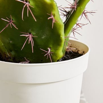 Faux Potted Flat Cactus Plant, 19" - Image 1