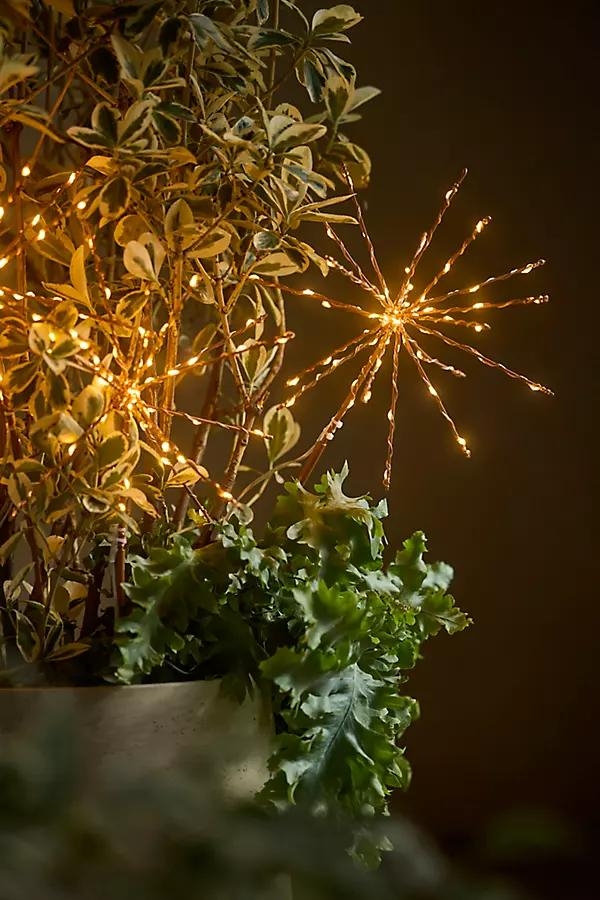 Stargazer Twinkling Supernova Stake Lights, Set of 3 - Image 0