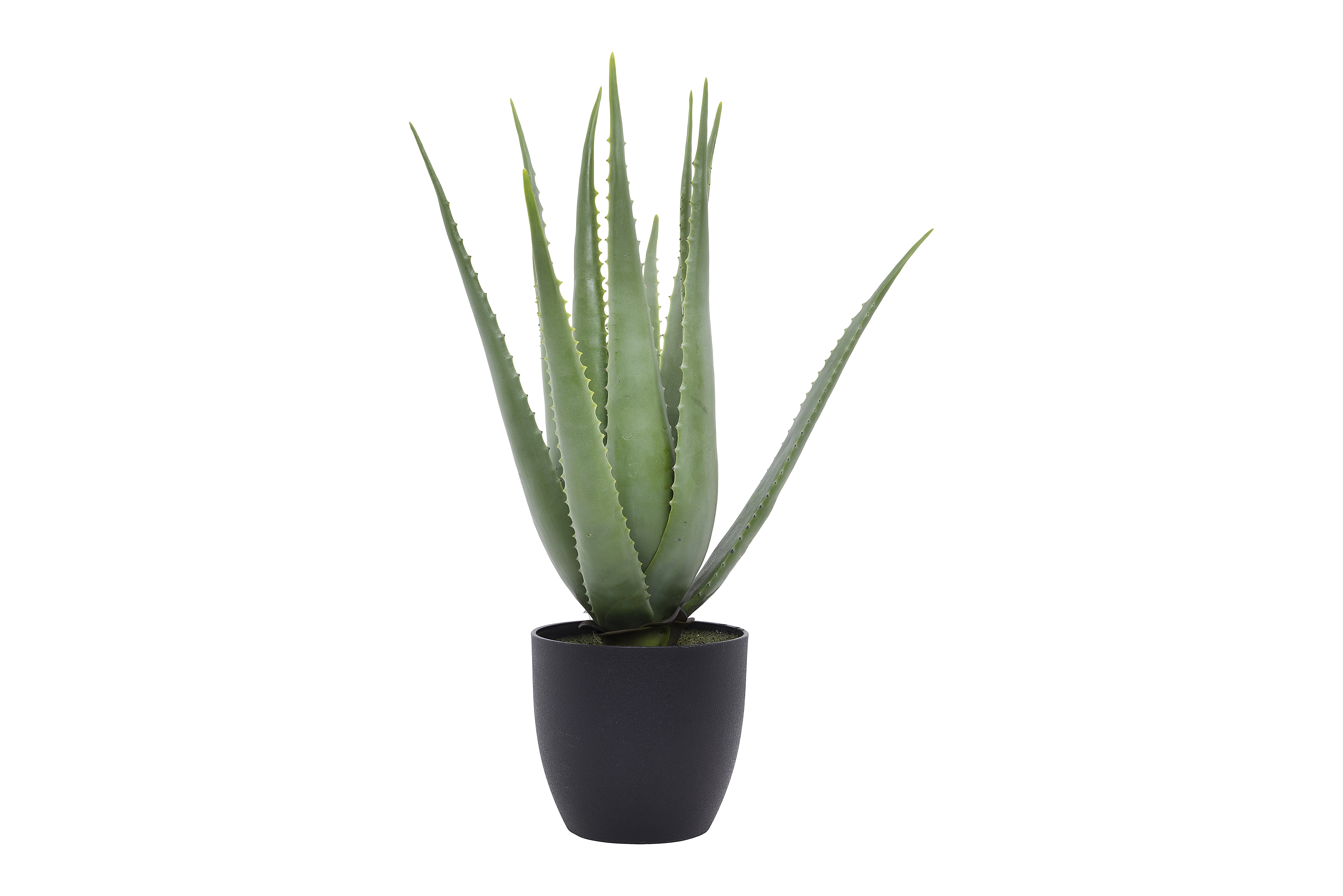 Faux Aloe Plant in Pot - Image 0