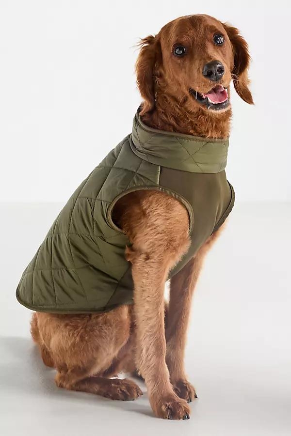 Borg Dog Fleece - Image 0