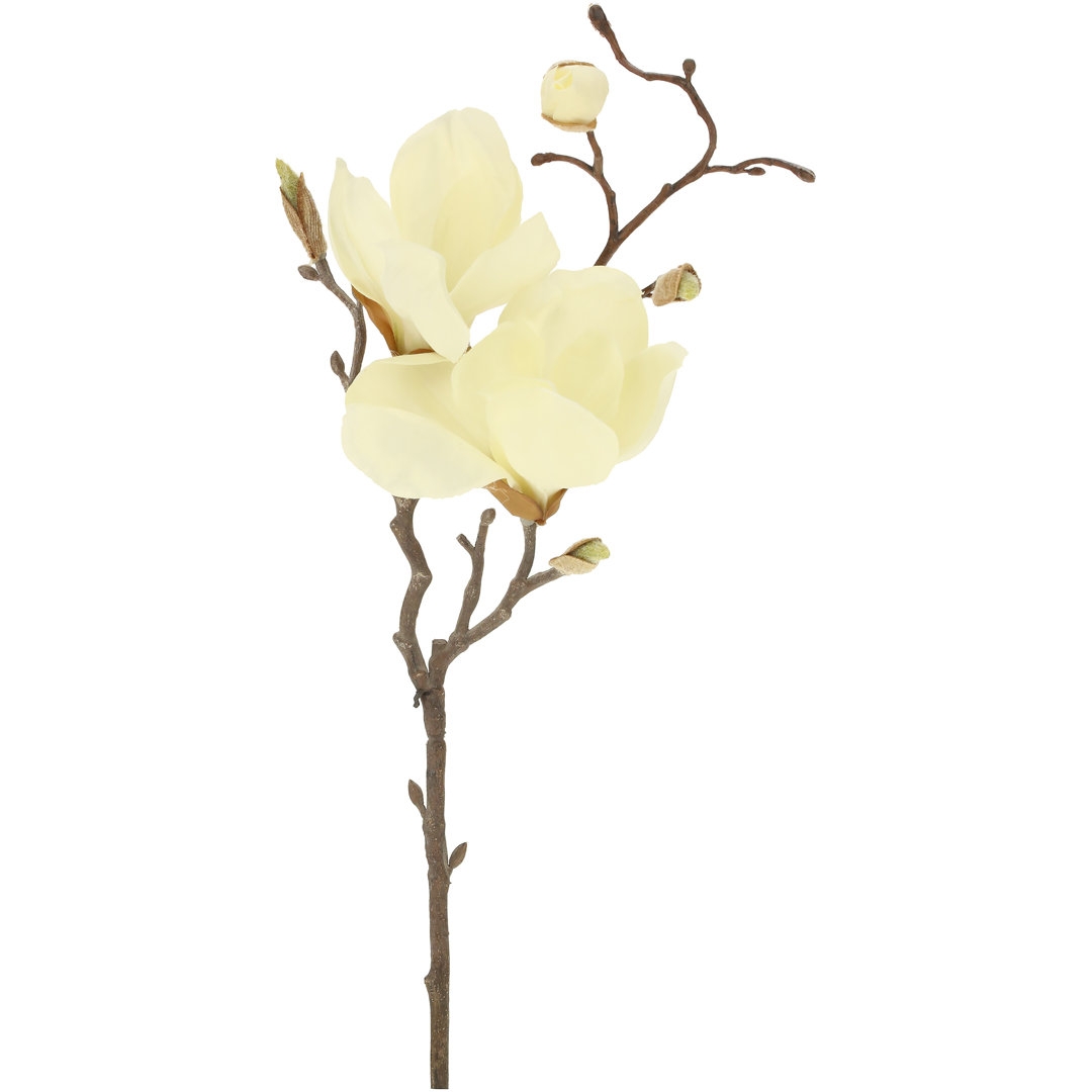 Mark Roberts Magnolia - 20 Inches Box of 12 - Image 0