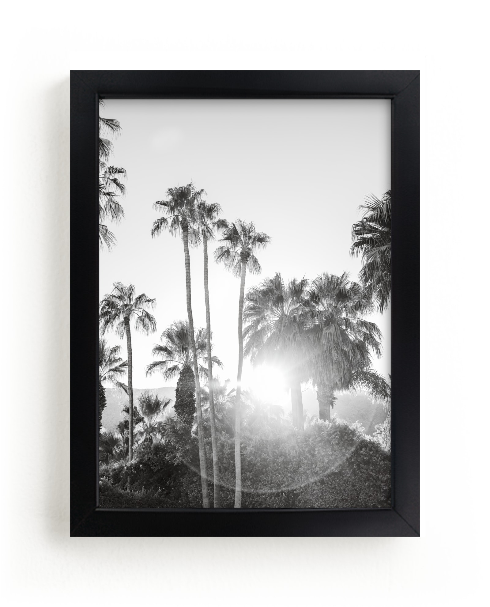 Sunflare Palms Limited Edition Fine Art Print 2 - Image 0
