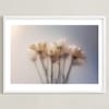 Hazy Daisy Limited Edition Fine Art Print 2 - Image 0