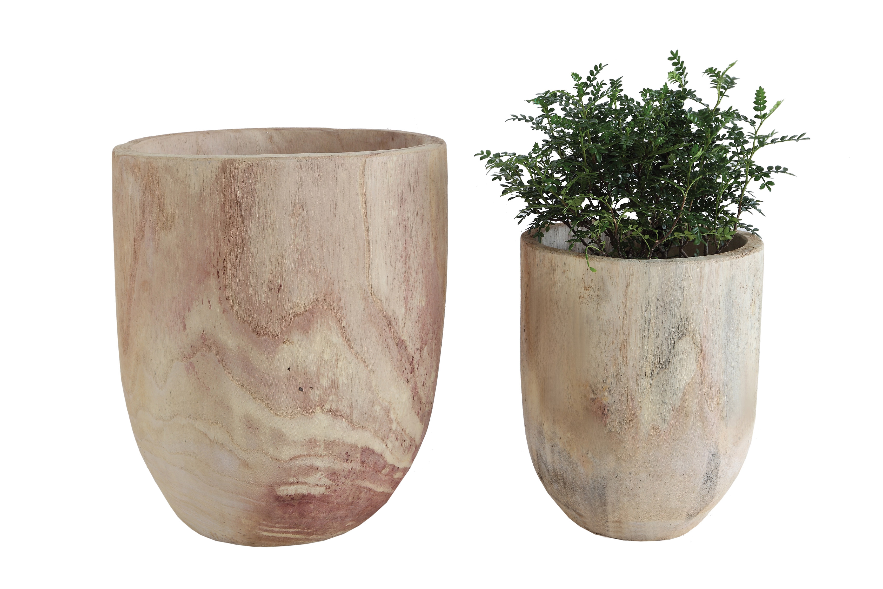 Paulownia Rounded Wood Pots, Set of 2 - Image 0