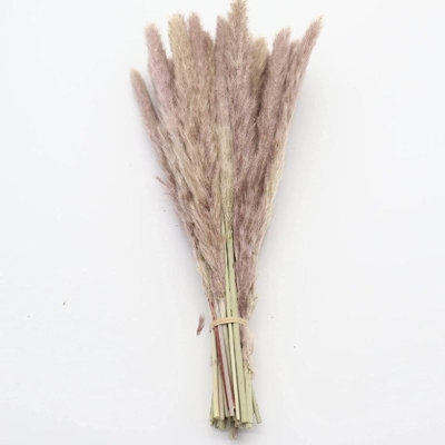 Dried Pampas Grass Natural Dried For Home Decorations Wedding Decoration Party Decoration Christmas Decoration Flower Arrangements - Image 0