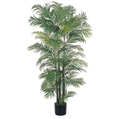 6' Areca Silk Palm Tree - Image 0