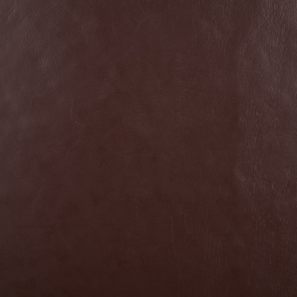 Elron Bench - Cognac / Natural - Safavieh - Image 4