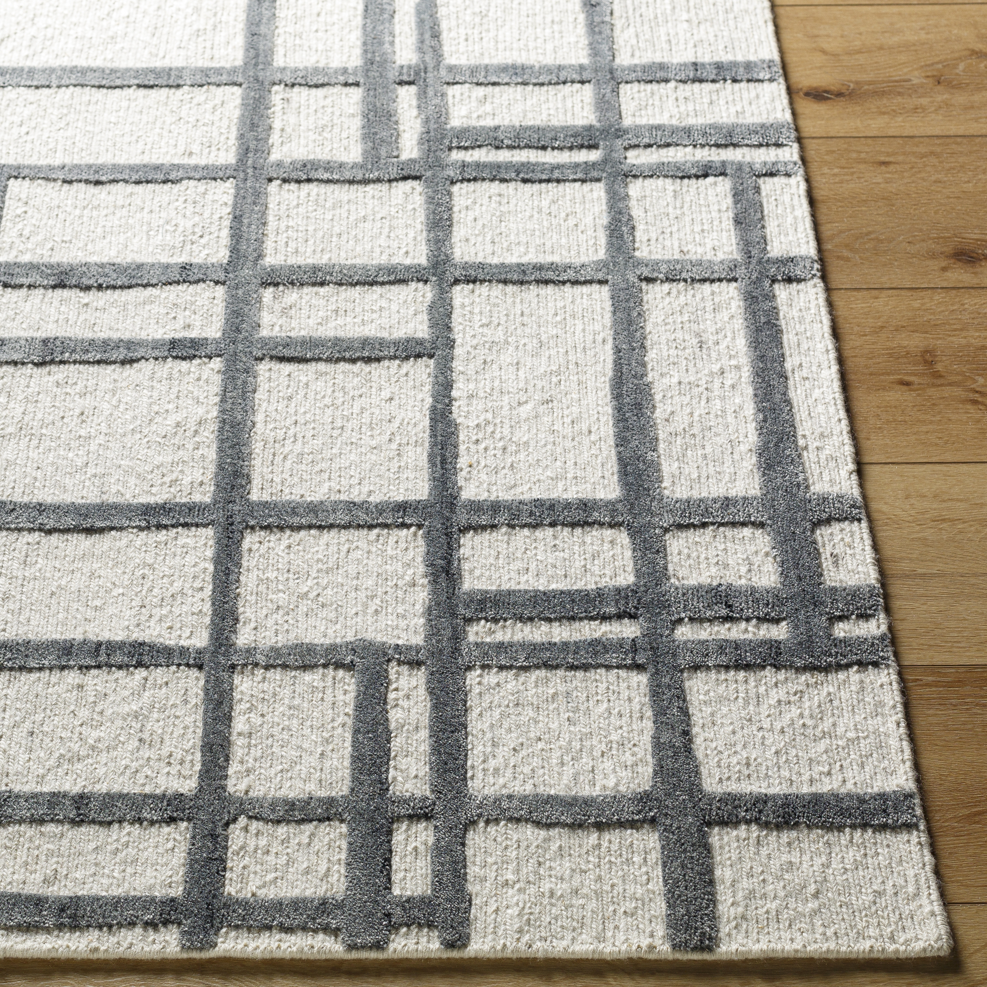 Ombre Beige Indoor 10' x 14' Handmade Rug - Image 1