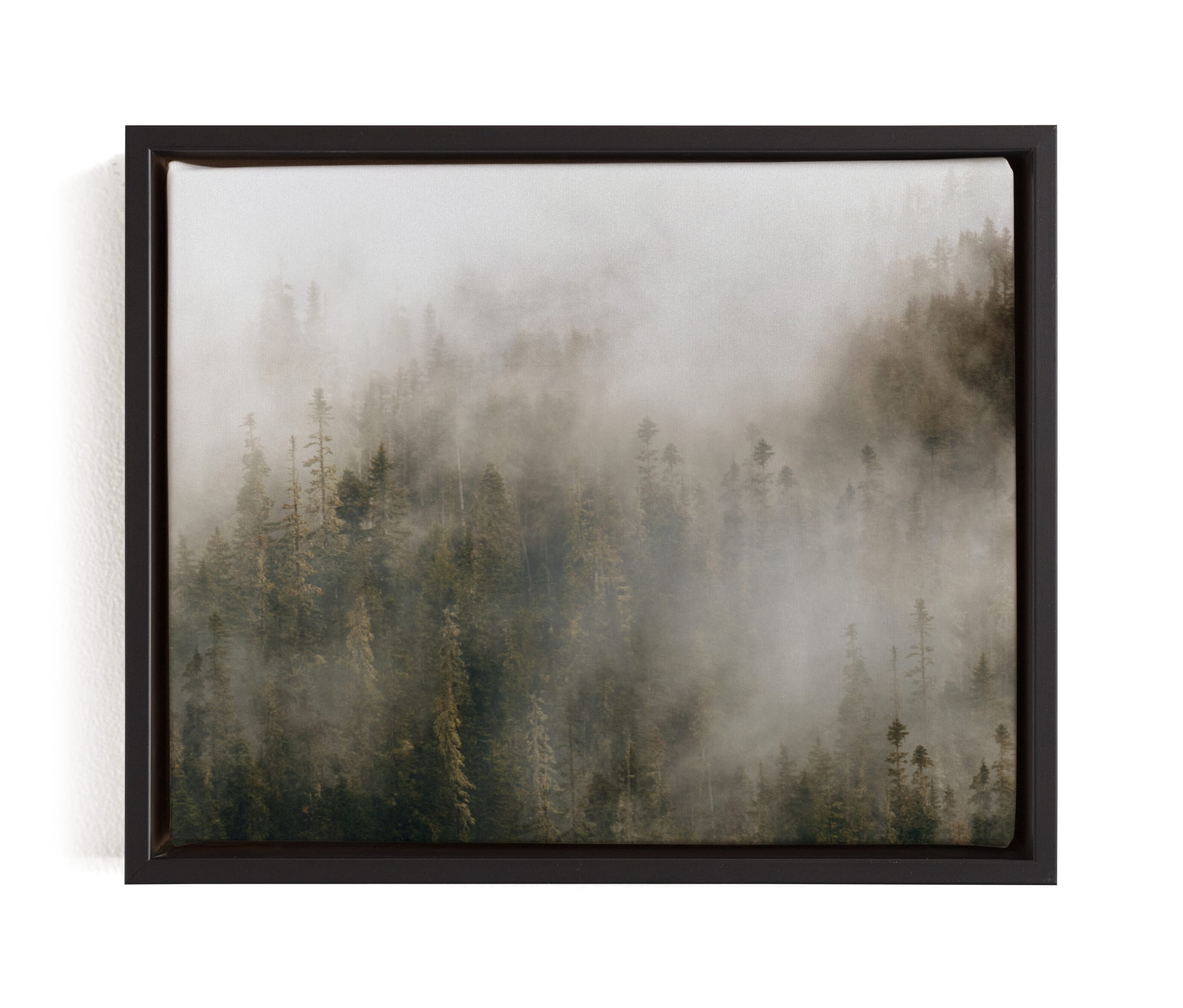 Pacific North Fog Limited Edition Fine Art Print 1 - Image 0