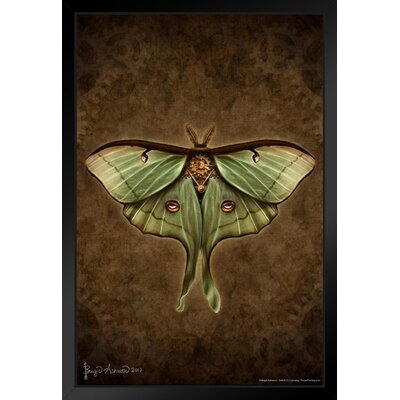 Steampunk Luna Moth By Brigid Ashwood Insect Wall Art Of Moths And Butterflies Butterfly Illustrations Insect Poster Moth Print Black Wood Framed Art Poster 14X20 - Image 0