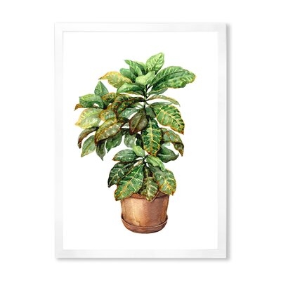 Croton In Clay Flowerpot - Traditional Canvas Wall Art Print-FDP35077 - Image 0