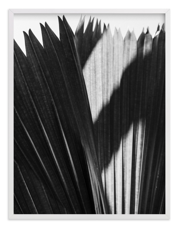 Palmery 2 Limited Edition Fine Art Print 1 - Image 0