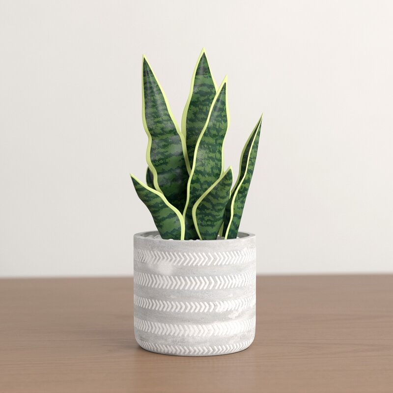 6.5" Faux Snake Plant in Pot - Image 1