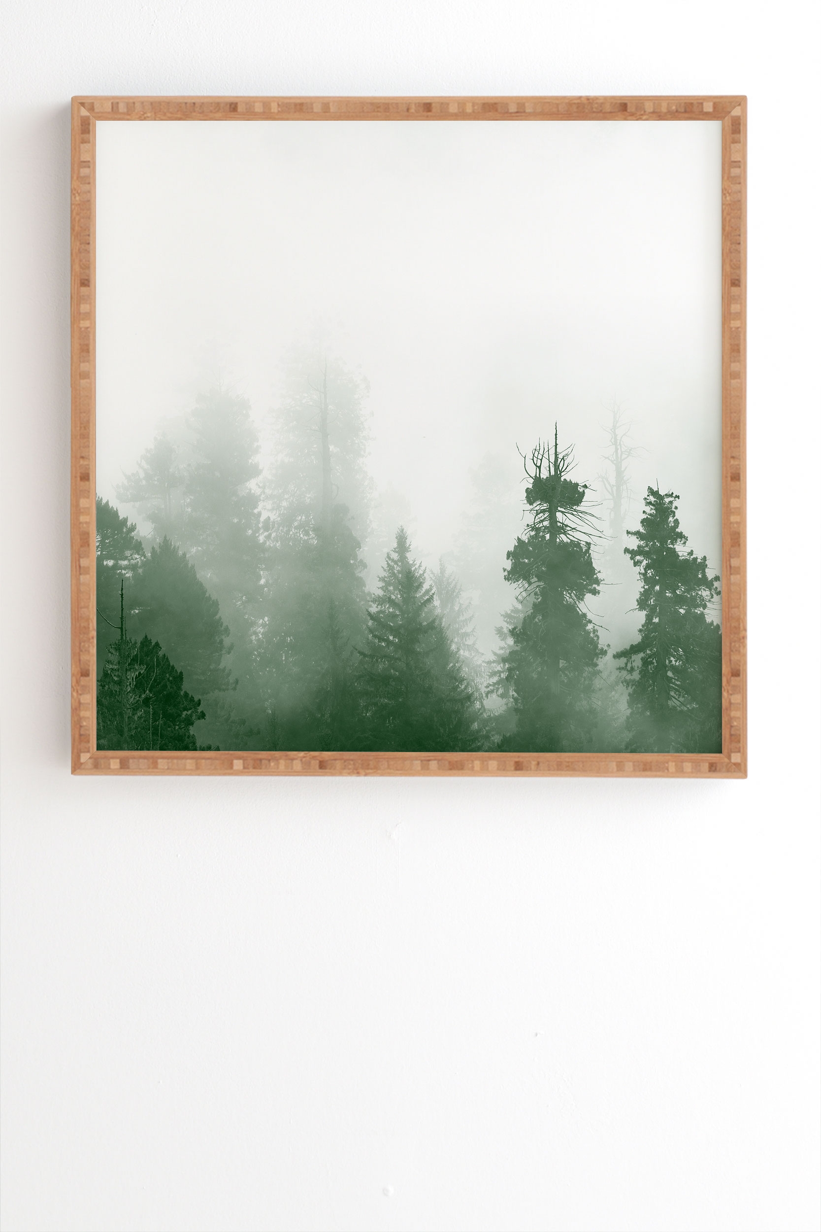 Green Forest Adventure by Nature Magick - Framed Wall Art Bamboo 30" x 30" - Image 1