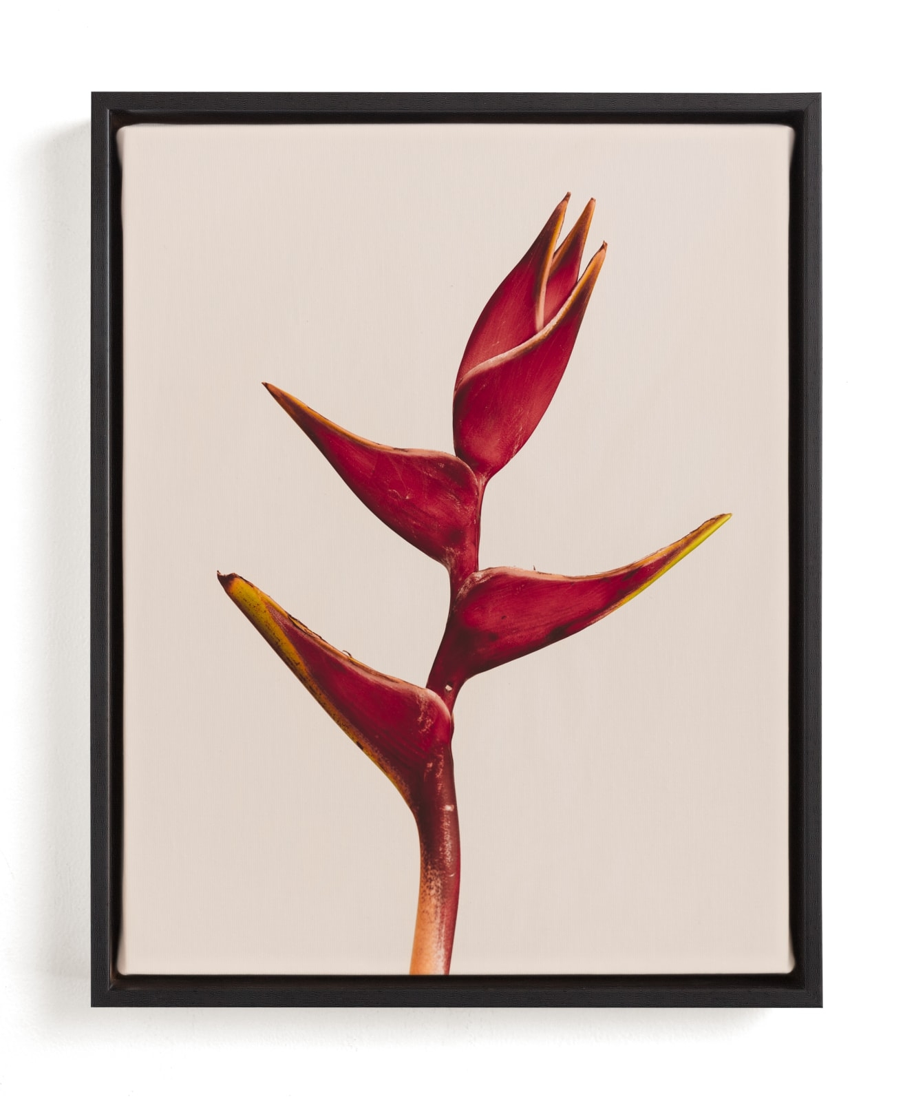 Heliconia 3 Limited Edition Fine Art Print 2 - Image 0