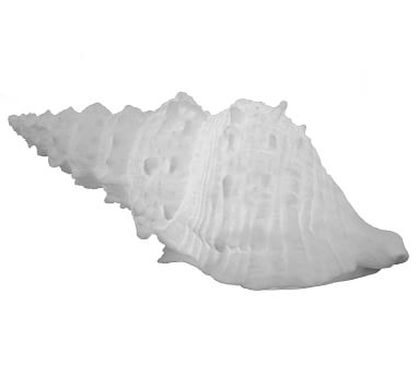 Lit Frosted Glass Sea Shell, 18" x 9" x 7" - Image 1