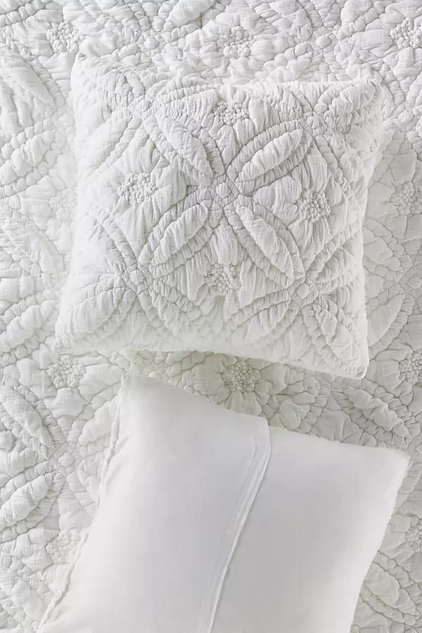 Everly Cotton Floral Euro Sham - Image 0