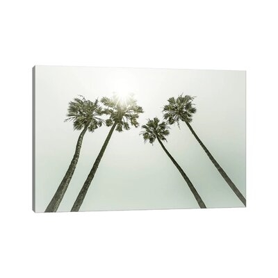 Lovely Vintage Palm Trees In The Sun by Melanie Viola - Gallery-Wrapped Canvas Giclée - Image 0