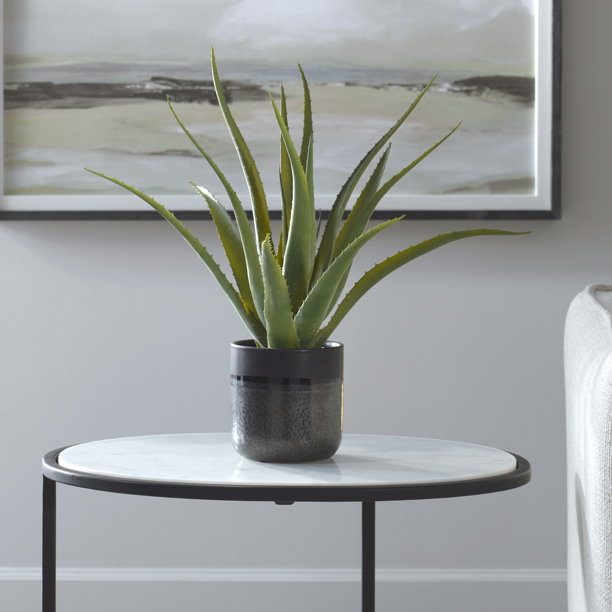 Tucson Aloe Planter - Image 1