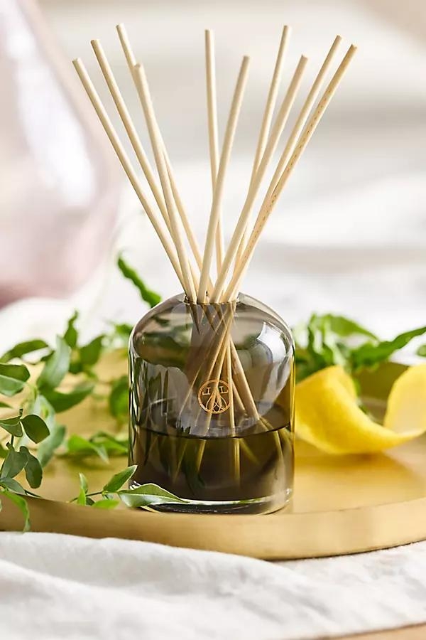 Diffuser, Nightbloom - Image 0