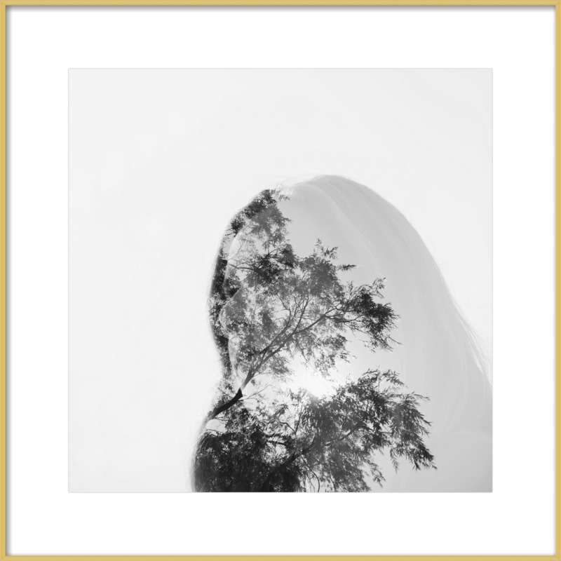 Made of Trees by Alicia Bock for Artfully Walls - Image 0