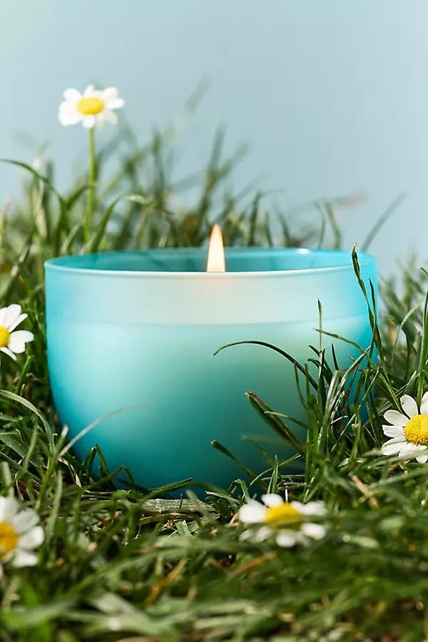 Romy Clover Floral Fresh Grass & Hyacinth Glass Lidded Candle - Image 0
