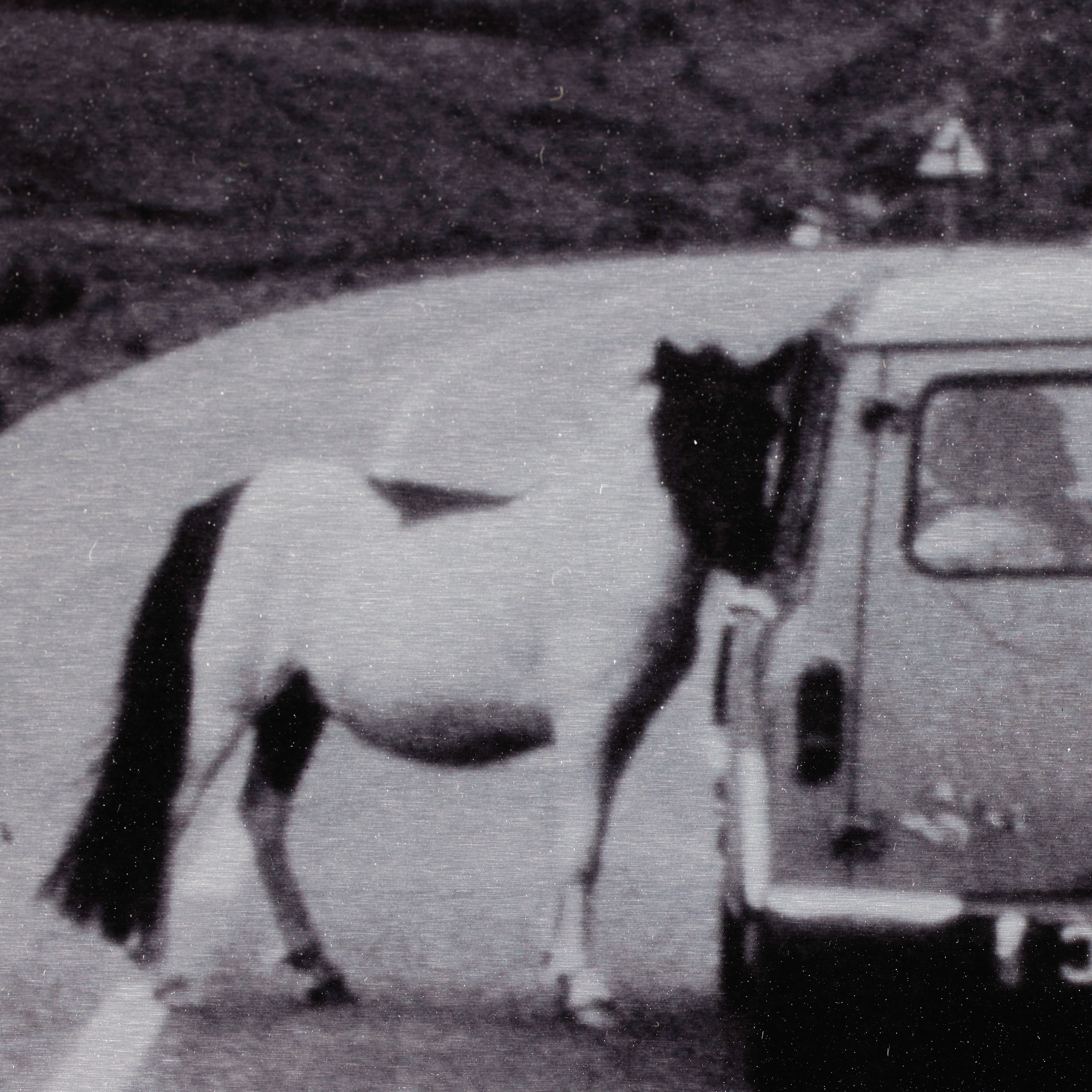 On The Road Iii By Annie Spratt - Image 4