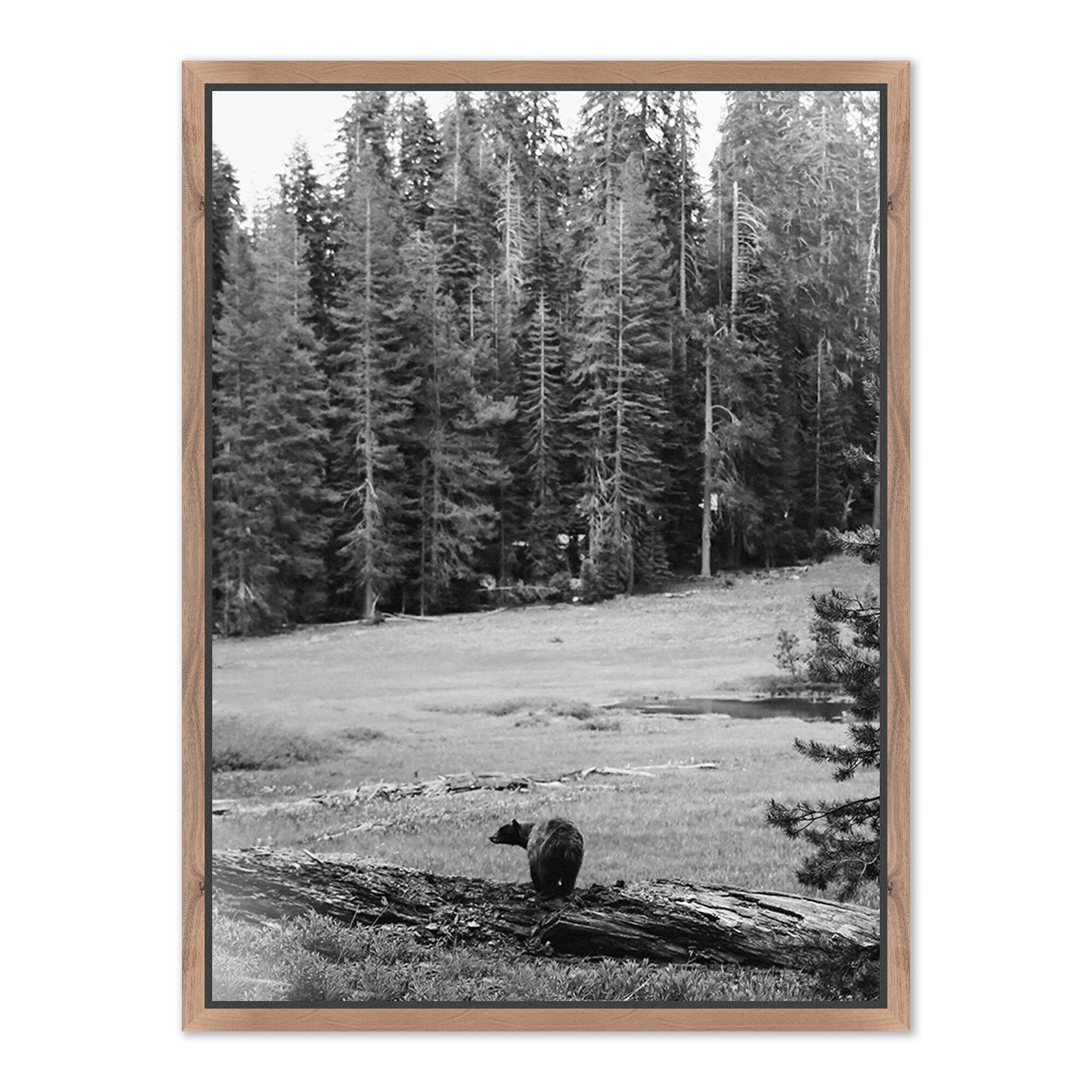 Don't Feed The Bears by Wesley and Emma Teague	 - Rustic Walnut Floater - Image 0