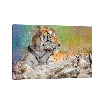 Splashy Tiger by Kevin Clifford - Wrapped Canvas Gallery-Wrapped Canvas Giclée - Image 0