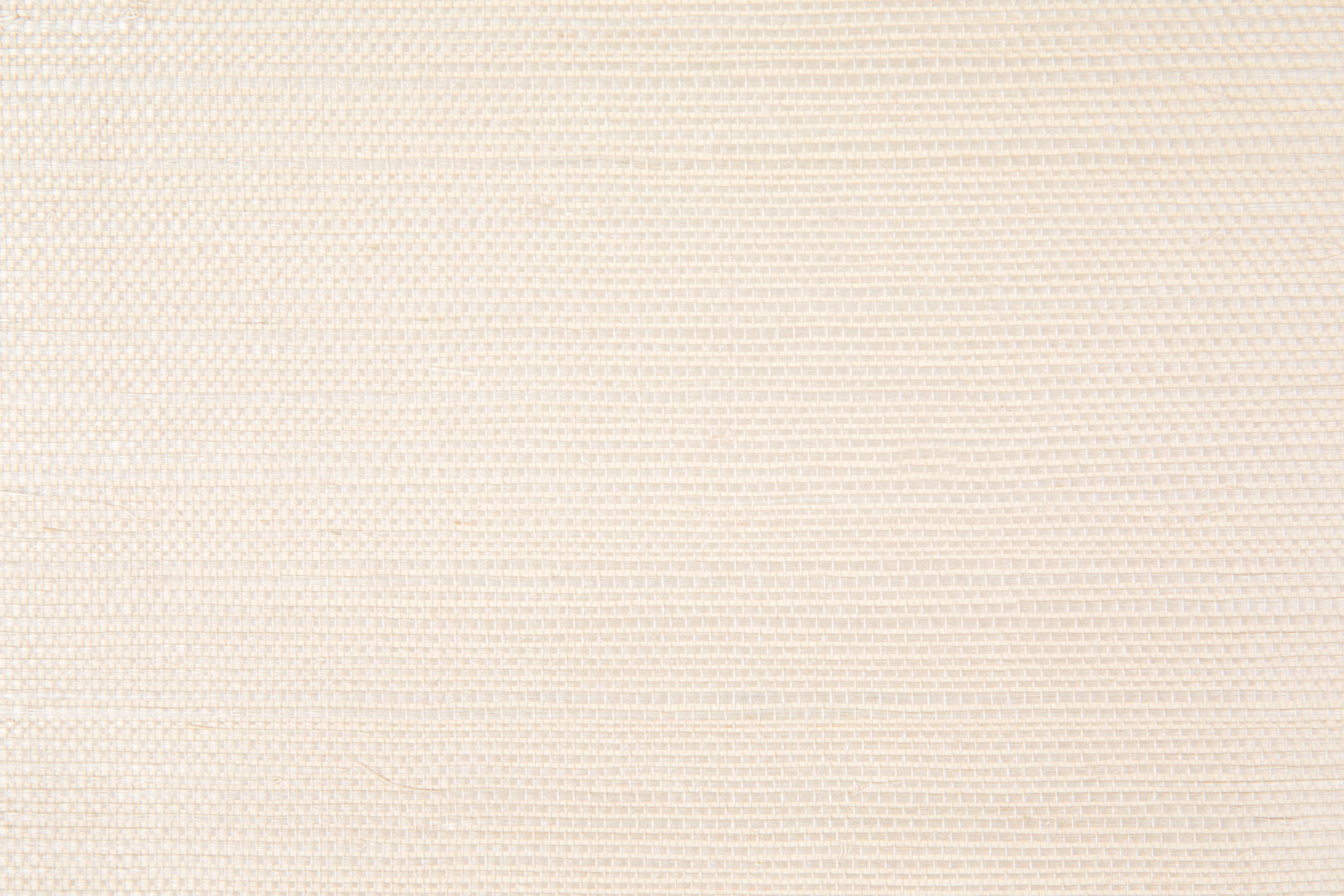 Grasscloth Wallpaper, Ivory Grasscloth - Image 4