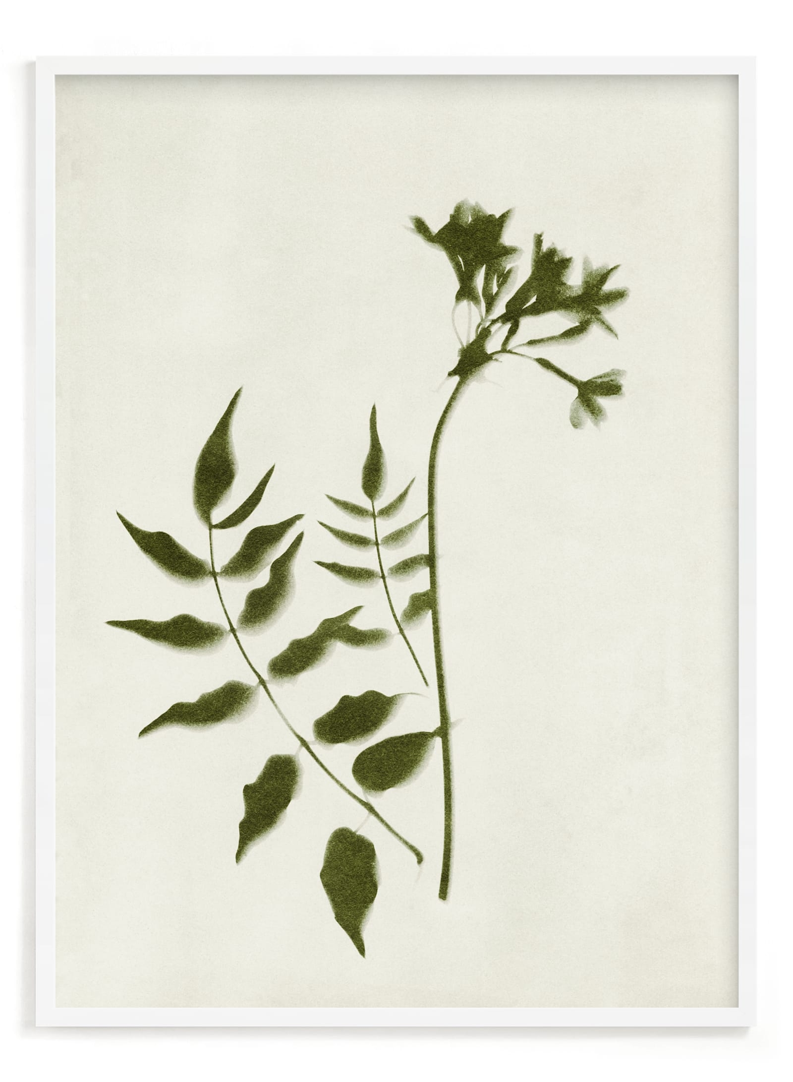 Foraged II Limited Edition Fine Art Print 2 - Image 0