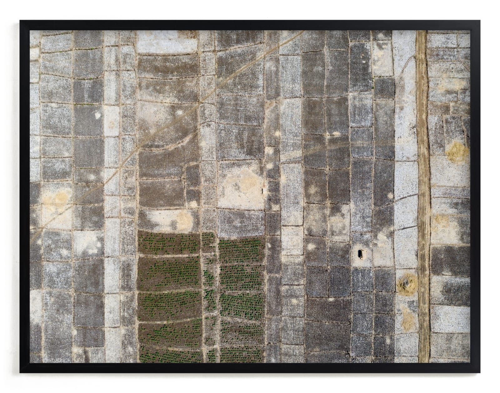 Transition Limited Edition Fine Art Print 2 - Image 0