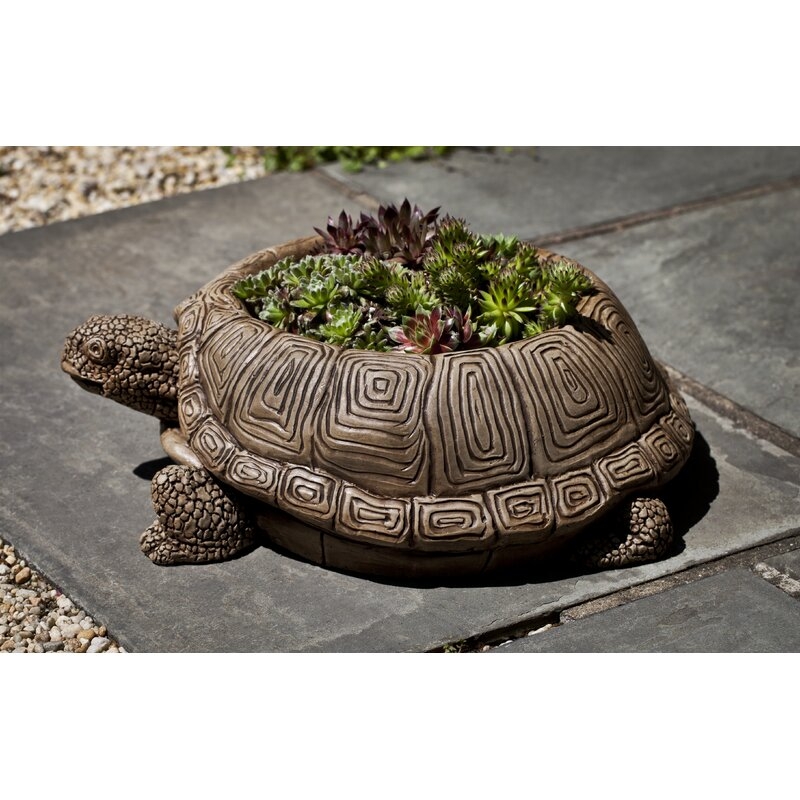 Campania International Turtle Cast Stone Statue Planter Color: Graystone - Image 0