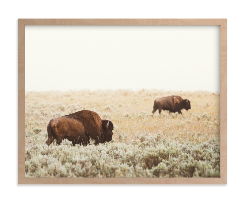 Bison Limited Edition Fine Art Print 1 - Image 0