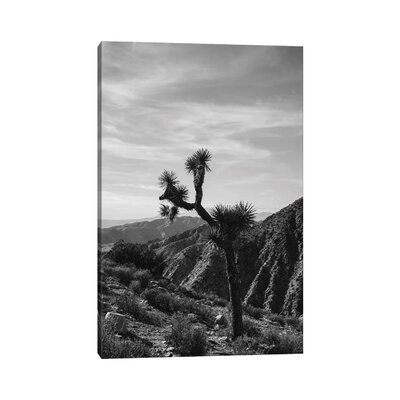 Joshua Tree National Park XXXIV by Bethany Young - Wrapped Canvas Gallery-Wrapped Canvas Giclée - Image 0