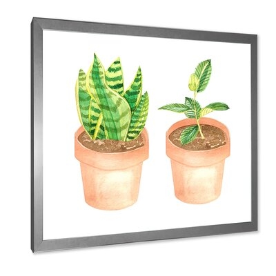 Sansevieria & Ficus Indoor Green Home House Plants - Traditional Canvas Wall Art Print FDP35490 - Image 0