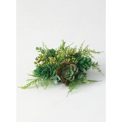 Half Orb Succulent - Image 0