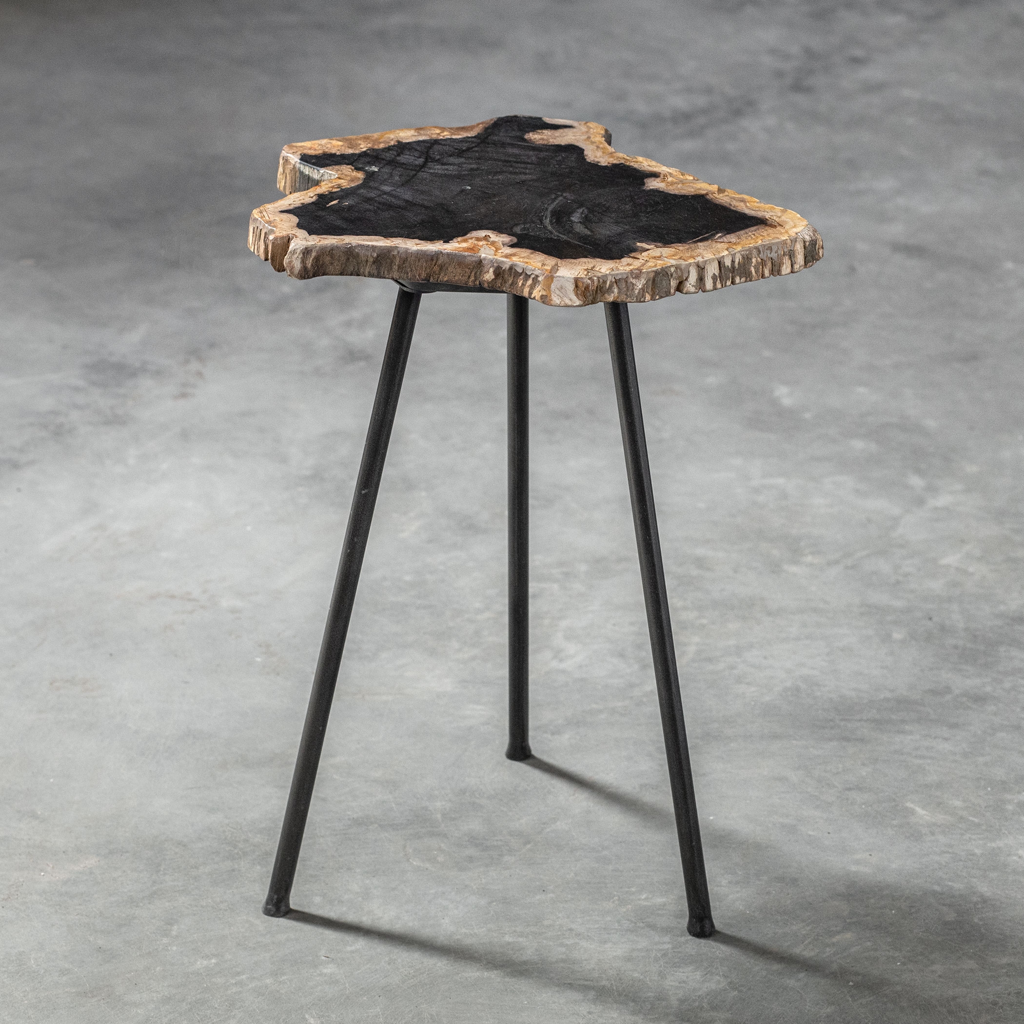 Mircea Petrified Wood Accent Table - Image 5