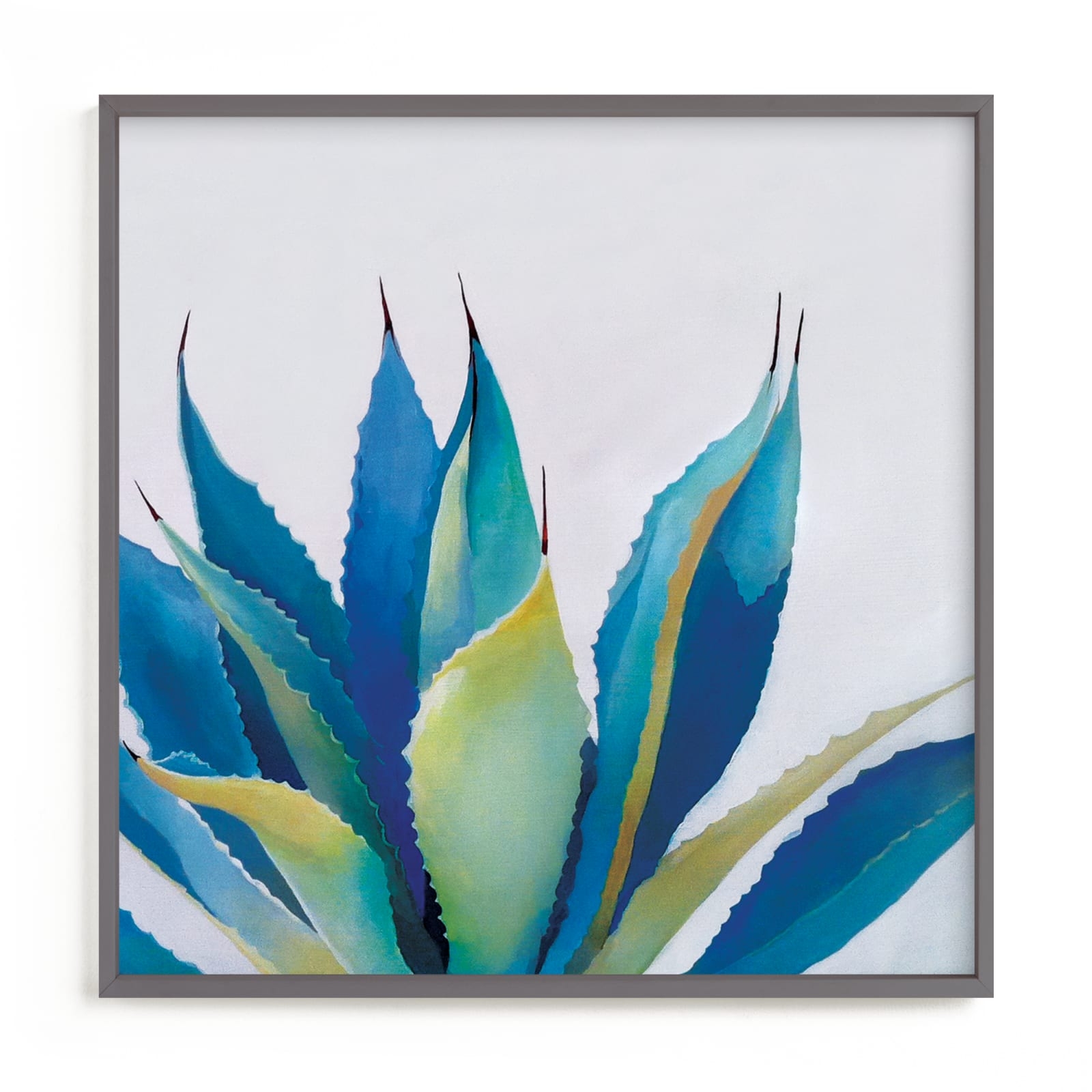 Blue Agave Open Edition Fine Art Print - Image 0