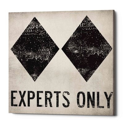 Experts Only by Ryan Fowler - Wrapped Canvas Graphic Art Print - Image 0