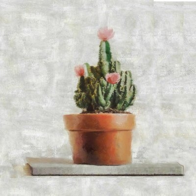 Potted Cactus Pink Flowers - Image 0