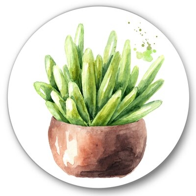 Succulent Flower In Terracotta Pot I - Traditional Metal Circle Wall Art - Image 0