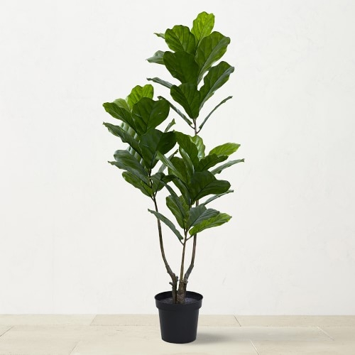 5.4' UV Resistant Faux Fiddle Leaf Tree - Image 0