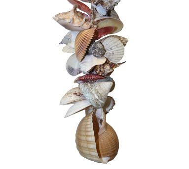 Assorted Shell Garland, 36" - Image 2