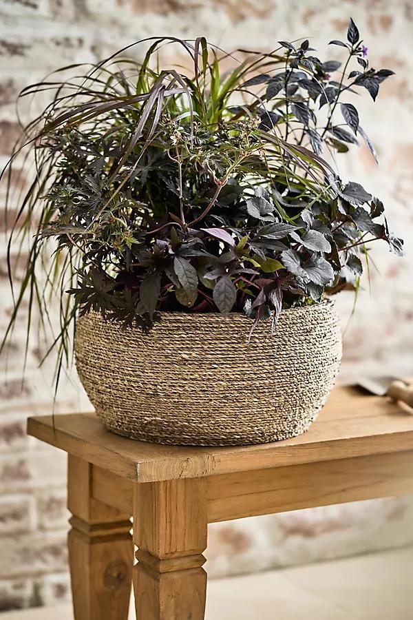Woven Seagrass + Fiber Taper Bowl Planter - Image 0