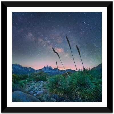 'Agave And The Milky Way, Organ Mountains-Desert Peaks National Monument, New Mexico' by Tim Fitzharris - Picture Frame Print - Image 0