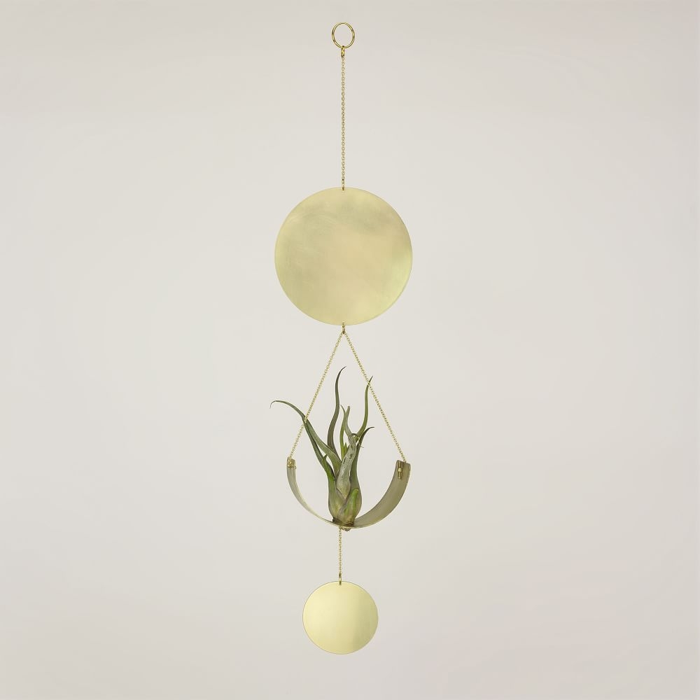 Airplant Wall Hanging, Brass - Image 0